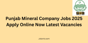 Punjab Mineral Company Jobs 2025
